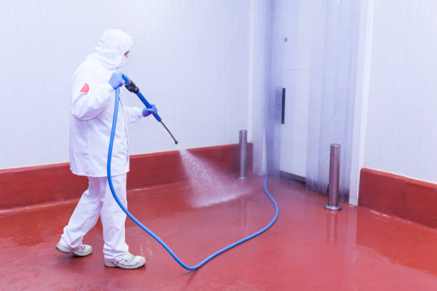 Best Sidewalk and Walkway Cleaning  in Labasas, CA